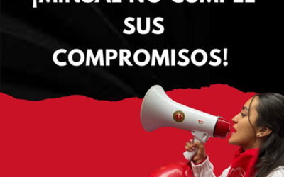 Colegio de Matronas y Matrones de Chile denuncia incumplimientos del MINSAL