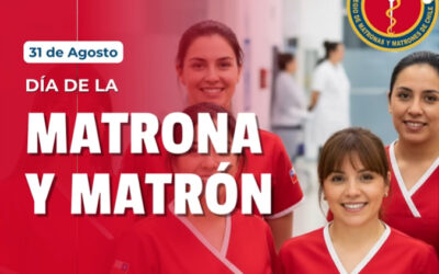 Hoy 31 de Agosto, celebramos el Día de la Matrona y del Matrón en Chile