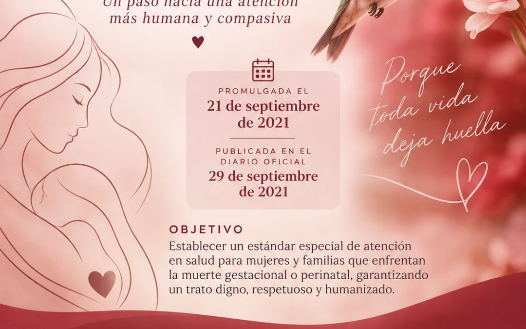 Matronas y matrones reafirman su compromiso con una atención humanizada en el duelo gestacional, perinatal y neonatal