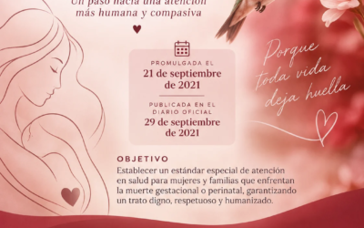 Matronas y matrones reafirman su compromiso con una atención humanizada en el duelo gestacional, perinatal y neonatal